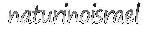 Naturinoisrael